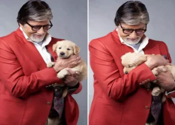 अमिताभ बच्चन ने खो दिया अपना करीबी दोस्त