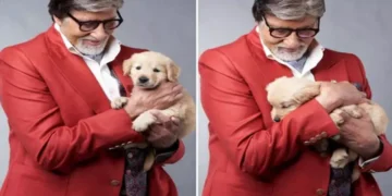 अमिताभ बच्चन ने खो दिया अपना करीबी दोस्त