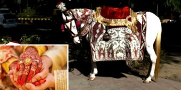 शादी से 4 दिन पहले दो बच्चों की मां के साथ दूल्हा फरार !