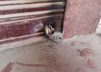 फतेहाबाद में PNB का ATM चुराने का प्रयास