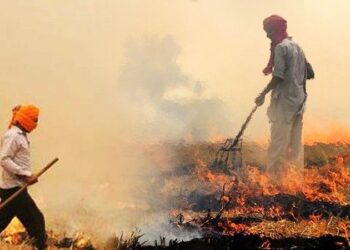पराली जलाने की घटनाओं पर प्रशासन सख्त..