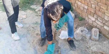 चुपके से घर में घुसी बिल्ली, दूध पीते समय लौटे में फंसा मुंह