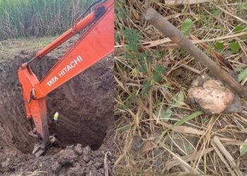 बेटे ने पिता की हत्या कर शव के किए 32 टुकड़े