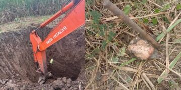 बेटे ने पिता की हत्या कर शव के किए 32 टुकड़े