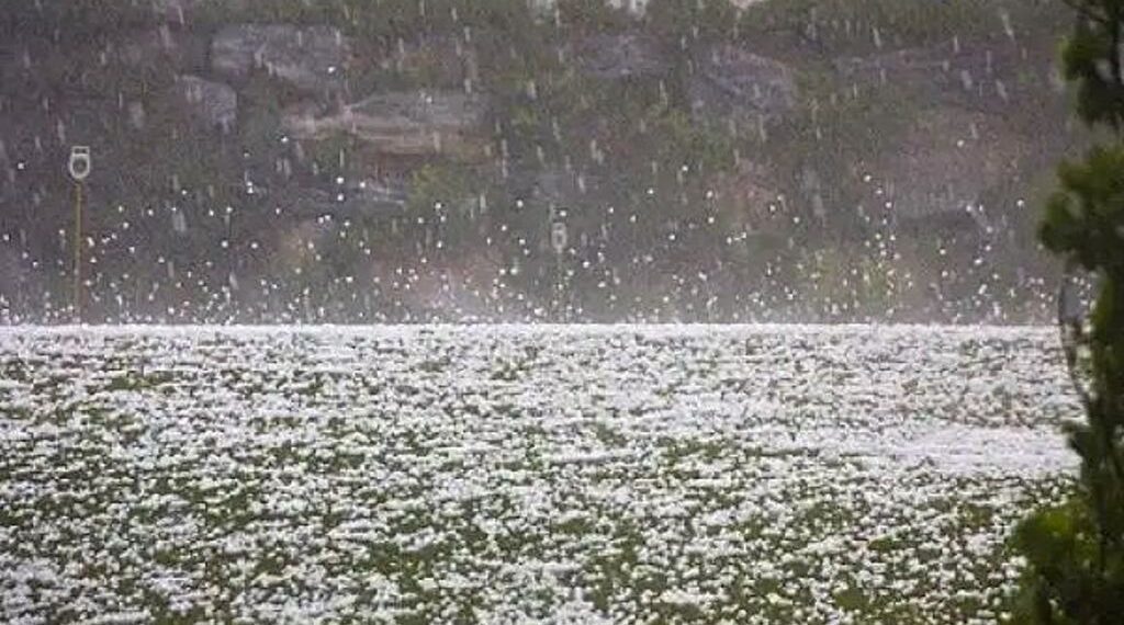 29 और 30 को हरियाणा के इन जिलों में ओलावृष्टि की चेतावनी