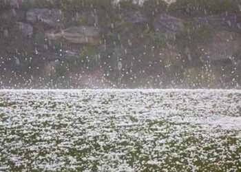 29 और 30 को हरियाणा के इन जिलों में ओलावृष्टि की चेतावनी