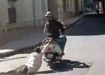 स्कूटी सवार युवक ने बुजुर्ग को 1KM तक घसीटा, गिरफ्तार