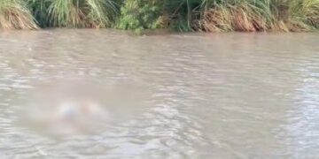 10 दिन बाद नहर से मिला लापता युवक का शव