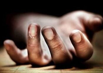 UP से चावल लेकर आए ट्रक चालक की करंट लगने से मौत