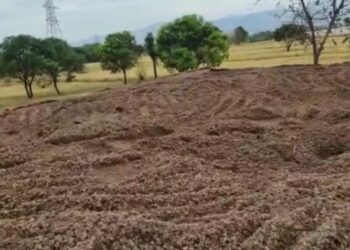 माइनिंग माफिया हर मांह सरकार को लगा रहा है करोड़ों का चूना, लगे टैक्स चोरी के आरोप