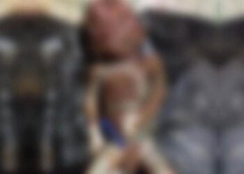 मानवता शर्मसार- भाखड़ा नहर में मिला नवजात बच्चे का शव