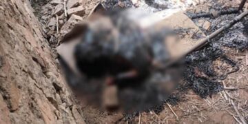 पति ने पत्नी की हत्या कर गर्दन की धड़ से अलग, फिर काटे दोनों हाथ और पैर