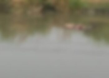 भाखड़ा नहर में मिले दो महिलाओं के शव