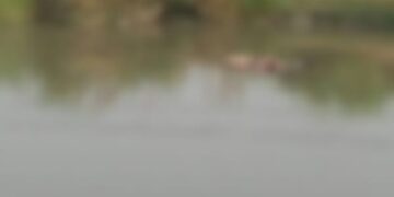 भाखड़ा नहर में मिले दो महिलाओं के शव