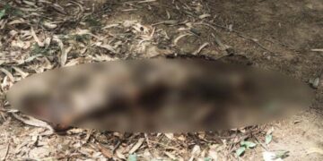 नहर किनारे मिली कटी हुई टांग, जांच में जुटी पुलिस