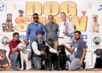 पंचकूला में मेगा डॉग शो: सर्वश्रेष्ठ रॉटवीलर और लैब्राडोर डॉग ने जीते खिताब