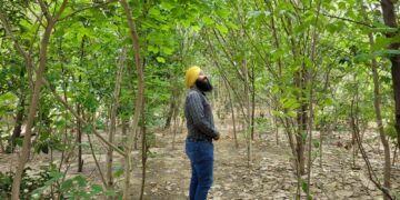 इकोसिख कैसे नए तरीके से गुरु नानक साहिब की मनाता है जयंती