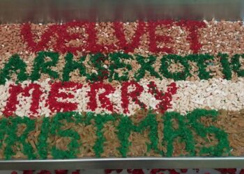 वेलवेट क्लार्क्स एक्सोटिका जीरकपुर में क्रिसमस को लेकर तैयारियां जोरों पर