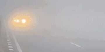 हरियाणा के 32 शहरों में घना कोहरा