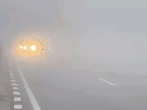 हरियाणा के 32 शहरों में घना कोहरा