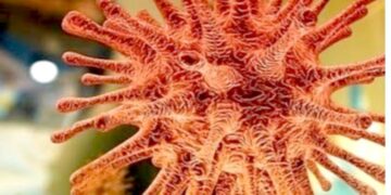 देश में कोरोना वायरस से 6 की मौत,संक्रमण के 475 न‌ए मामले दर्ज