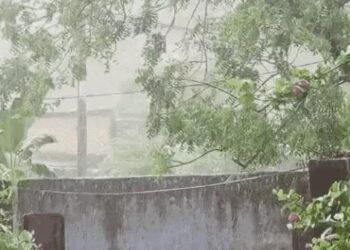 हरियाणा में बारिश के साथ गिरे ओले:हवा की स्पीड 60 किलोमीटर तक