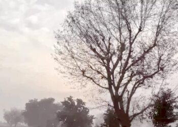 हरियाणा के 6 जिलों में बारिश का अलर्ट