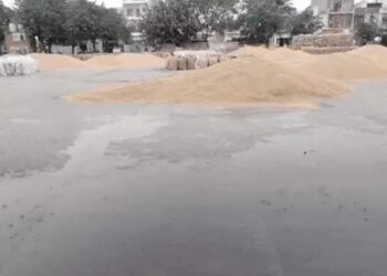 हरियाणा में अभी ‘हीट वेव’ नहीं: 25 अप्रैल तक रहेगी राहत, 4 दिन छाएंगे बादल,