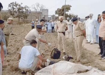 हरियाणा में पत्नी-जीजा की हत्या