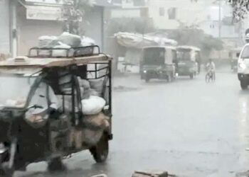 हरियाणा के 8 जिलों में बारिश:हिसार में नर्सरी पर बिजली गिरी, पेड़ जले