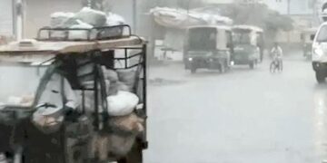 हरियाणा के 8 जिलों में बारिश:हिसार में नर्सरी पर बिजली गिरी, पेड़ जले