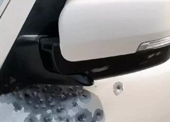 हरियाणा में सगे भाइयों की गोली मारकर हत्या