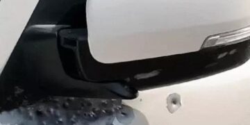 हरियाणा में सगे भाइयों की गोली मारकर हत्या