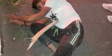 हरियाणा में आंधी-तूफान से 2 की मौत:6 जिलों में होगी बारिश