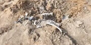 पाकिस्तान का तीसरा नाकाम हमला