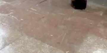 हरियाणा में बारिश के साथ ओले गिरे:6 जिलों में मौसम खराब, 7 में अलर्ट