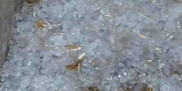 हरियाणा में बारिश के साथ ओले गिरे: तेज आंधी भी चली