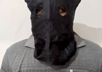 गुरुग्राम में हरियाणवीं सिंगर पर फायरिंग का आरोपी अरेस्ट: फाजिलपुरिया के आने-जाने की रेकी की, मौका मिलते ही चलाई गोलियां, सोनीपत का रहने वाला