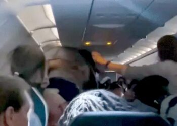 भारतीय-अमेरिकी व्यक्ति ने फ्लाइट में पैसेंजर का गला दबाया, VIDEO: गिरफ्तार हुआ