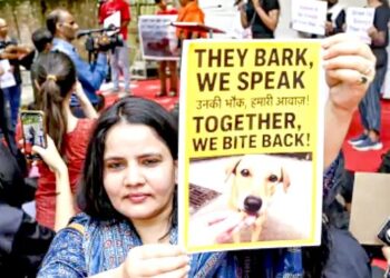 SC का फैसला- पकड़े गए कुत्ते नसबंदी कर छोड़े जाएंगे: खूंखार कैद में रहेंगे