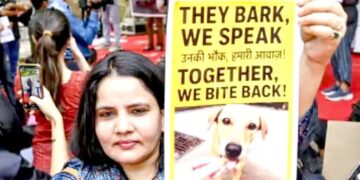 SC का फैसला- पकड़े गए कुत्ते नसबंदी कर छोड़े जाएंगे: खूंखार कैद में रहेंगे