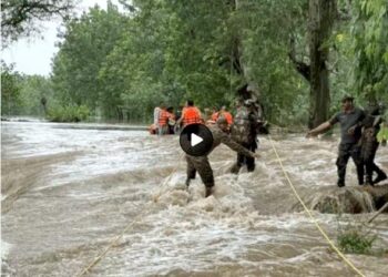 पंजाब में 30 अगस्त तक स्कूल बंद: 7 जिले बाढ़ की चपेट में, NDRF के बाद आर्मी बुलाई