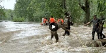 पंजाब में 30 अगस्त तक स्कूल बंद: 7 जिले बाढ़ की चपेट में, NDRF के बाद आर्मी बुलाई