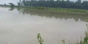 मारकंडा-यमुना ओवरफ्लो, घग्गर डेंजर लेवल पर