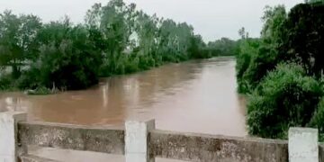 पंजाब में घग्गर उफान पर, ब्यास में बढ़ रहा जलस्तर