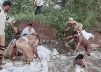 फतेहाबाद में टूटी ड्रेन 12 घंटे में ठीक की: मारकंडा-यमुना का जलस्तर खतरे के निशान से ​नीचे