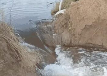 घग्गर ड्रेन में दरार, 300 एकड़ फसल डूबी: बाढ़ और जलभराव से 5754 गांव प्रभावित