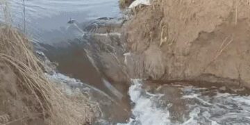 घग्गर ड्रेन में दरार, 300 एकड़ फसल डूबी: बाढ़ और जलभराव से 5754 गांव प्रभावित