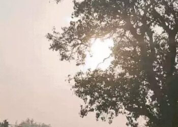 हरियाणा के 7 जिलों का तापमान 35 डिग्री पार: दिन गर्म और रातें ठंडी