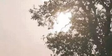 हरियाणा के 7 जिलों का तापमान 35 डिग्री पार: दिन गर्म और रातें ठंडी